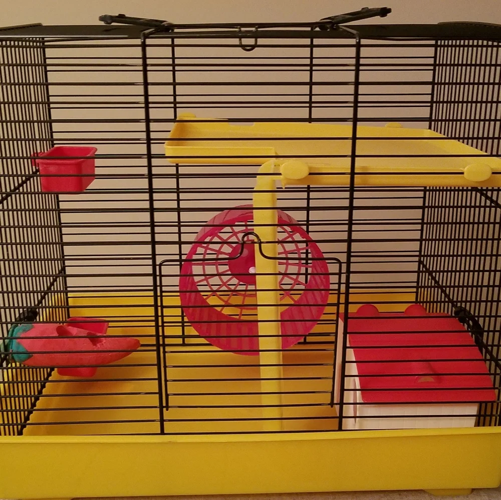 Petland *euc* hamster