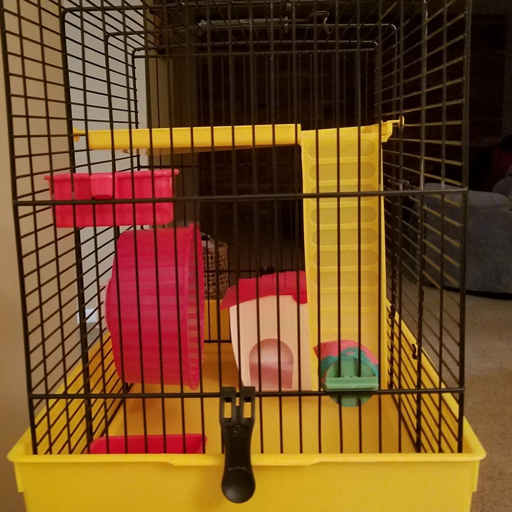Petland *euc* hamster