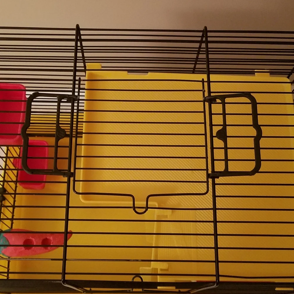 Petland *euc* hamster