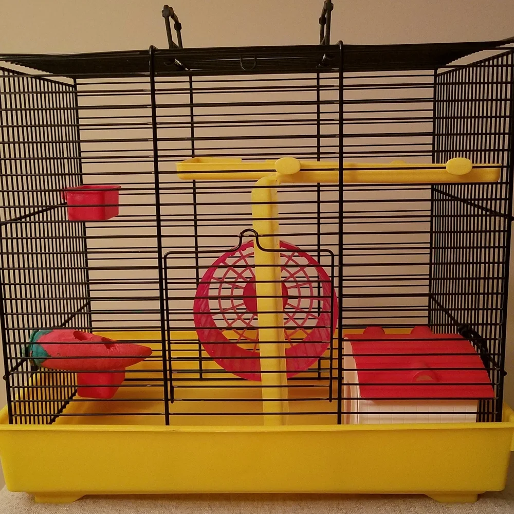 Petland *euc* hamster