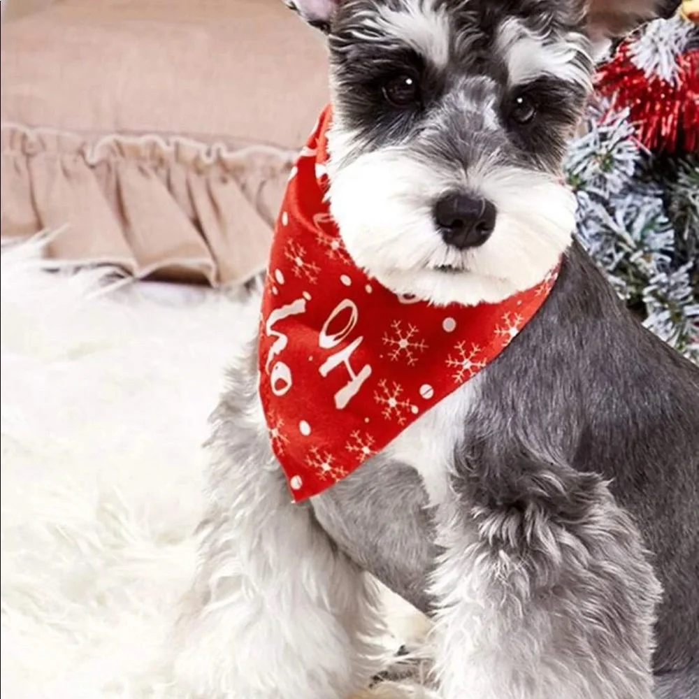 PET BANDANA