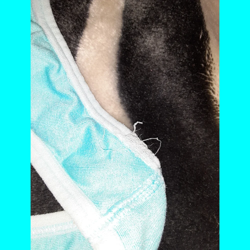 Blue Medium Champion Sports Bra