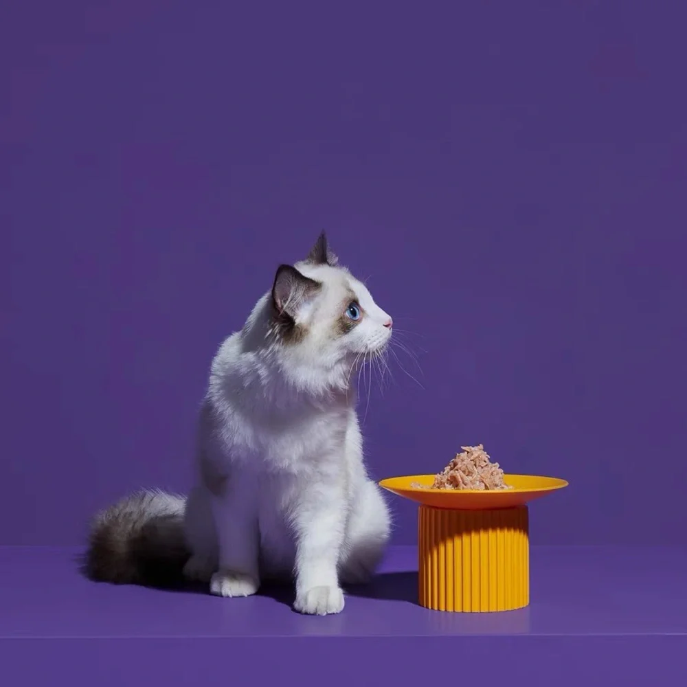 Purrre elevated pet bowl protecting cervical spine & prevent spilling food