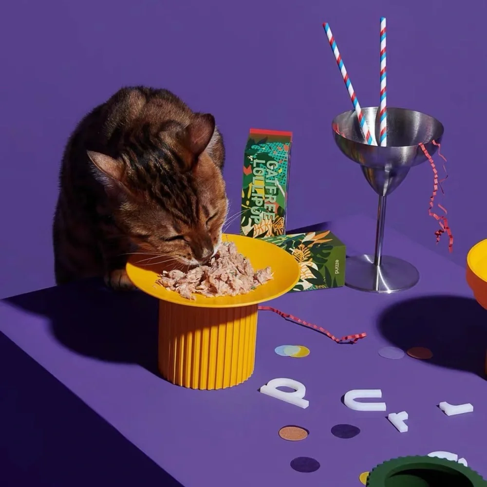 Purrre elevated pet