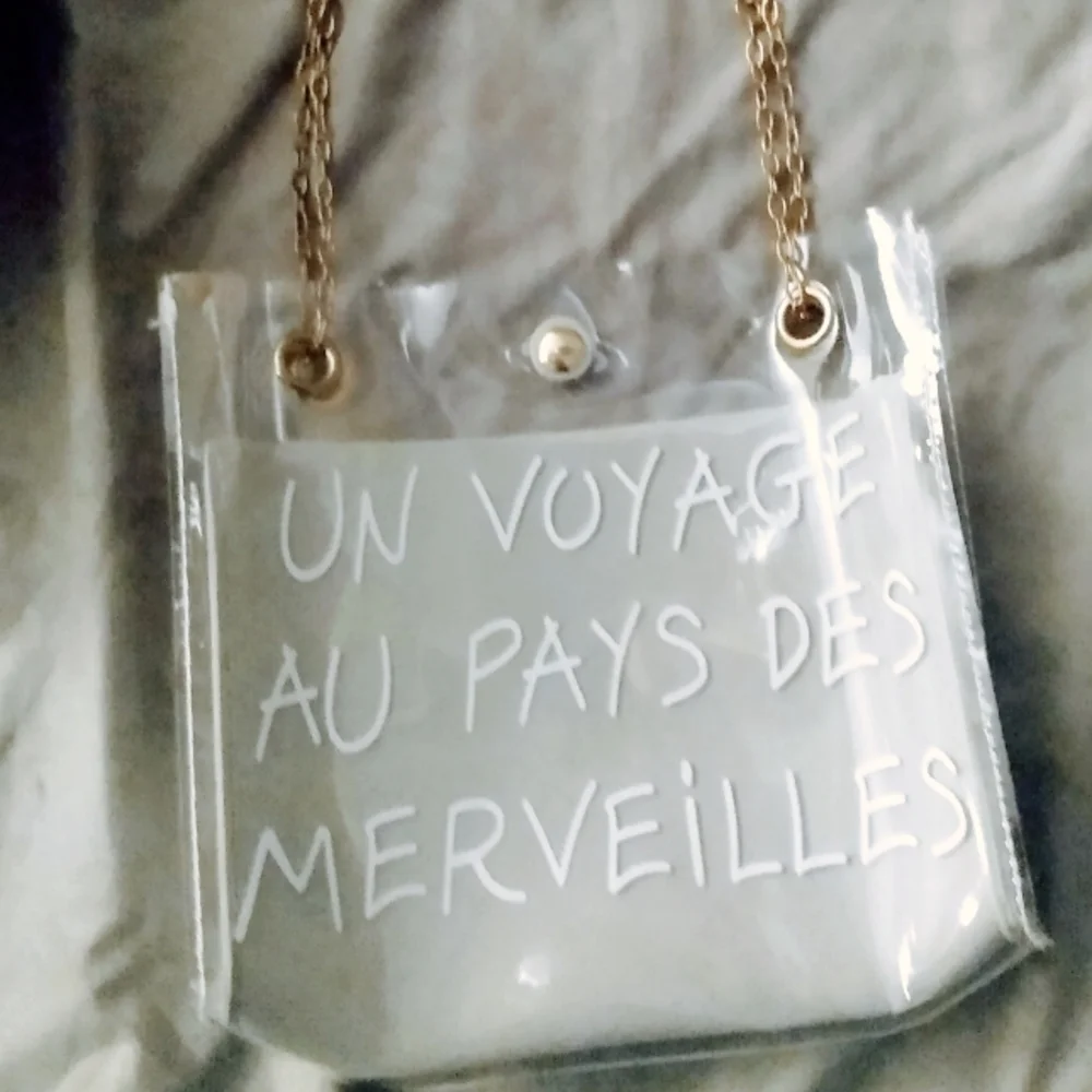 Small Clear Plastic Tote 