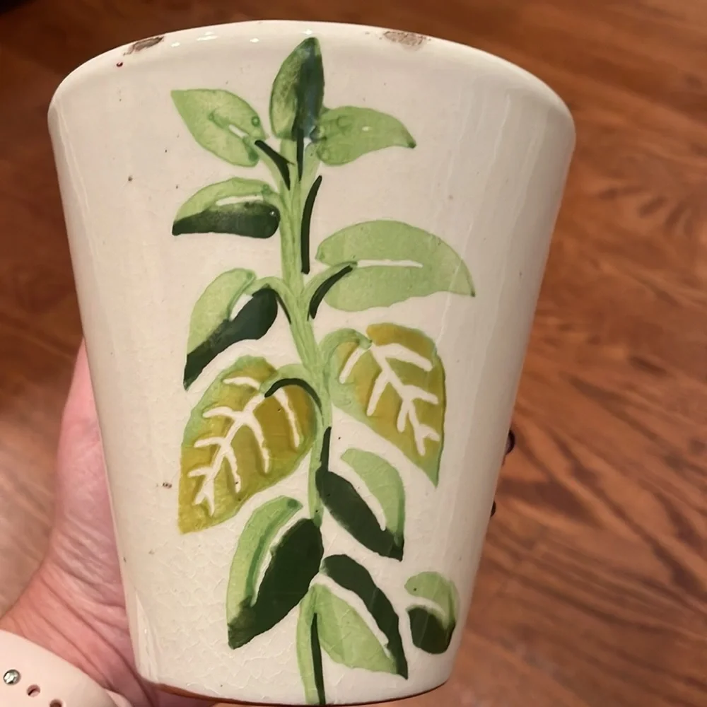 Crate & Barrel Basil planter