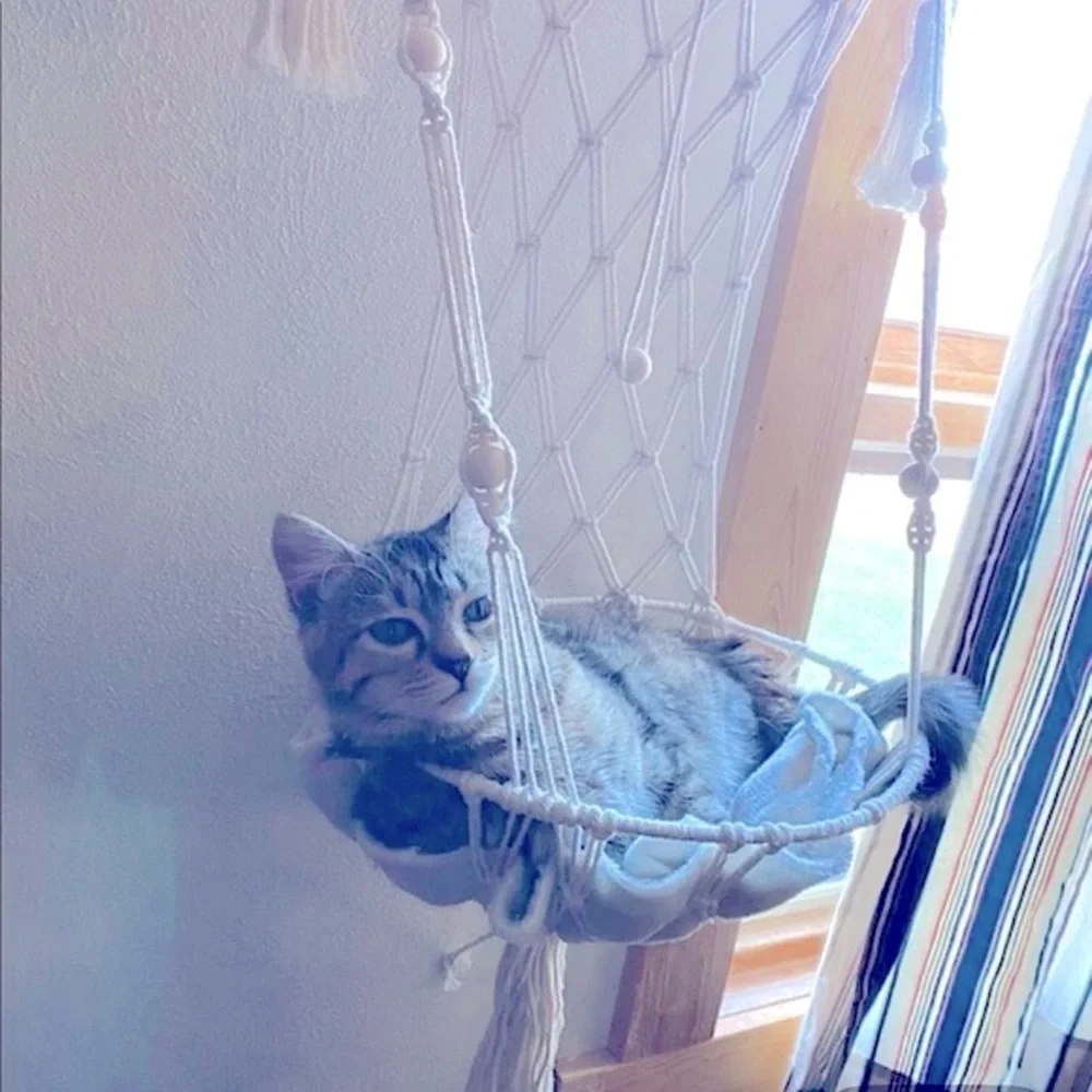 Hand Crafted 🐾 🐈‍⬛