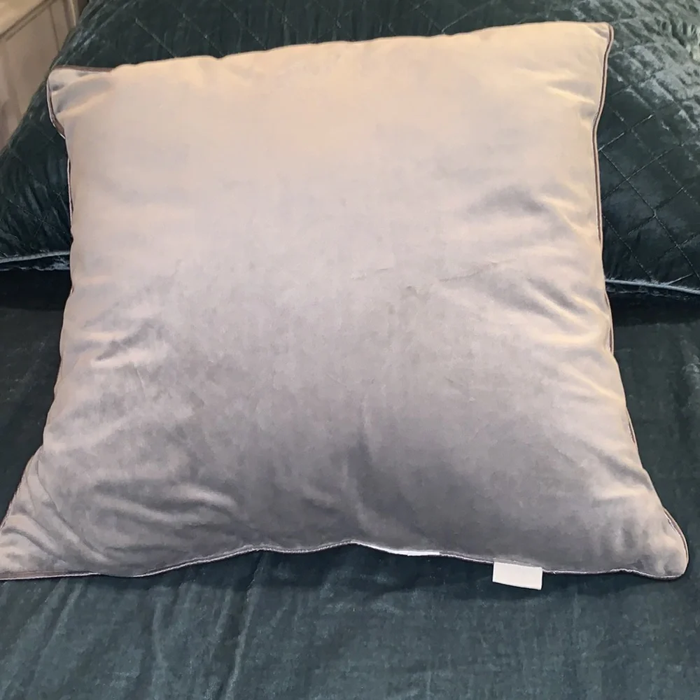 Pier 1 Imports Gray Velour Pillow