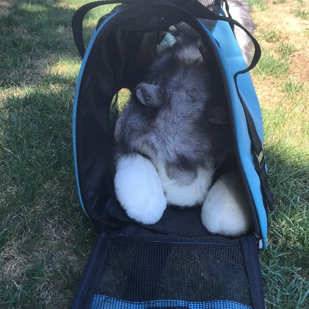 dog Carrier pet carrier