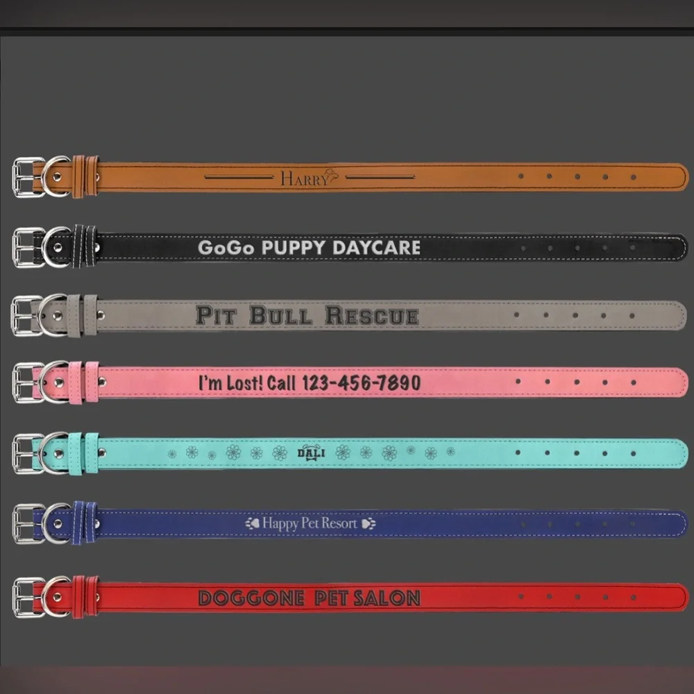 Pet Collars