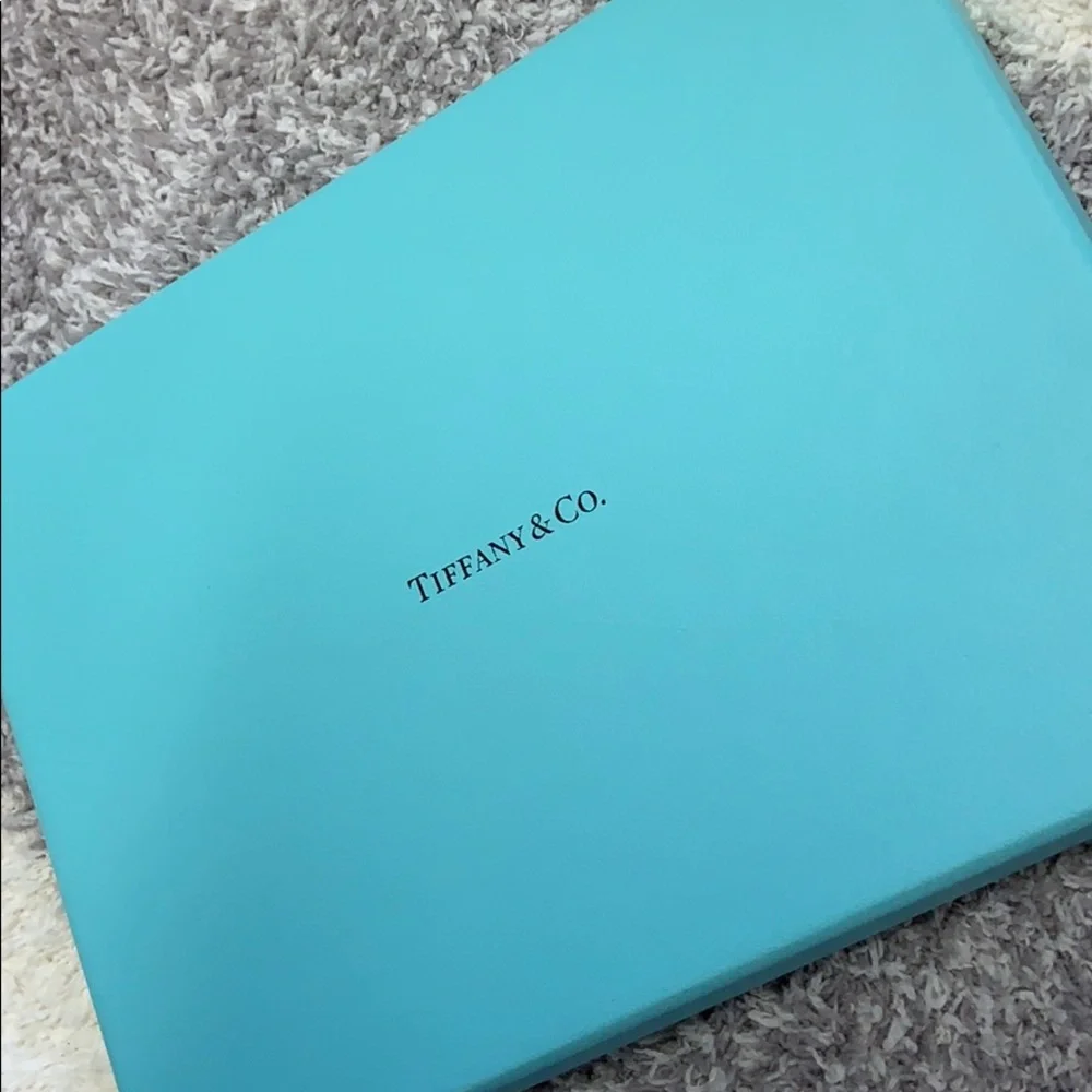 Tiffany & Co. brand new