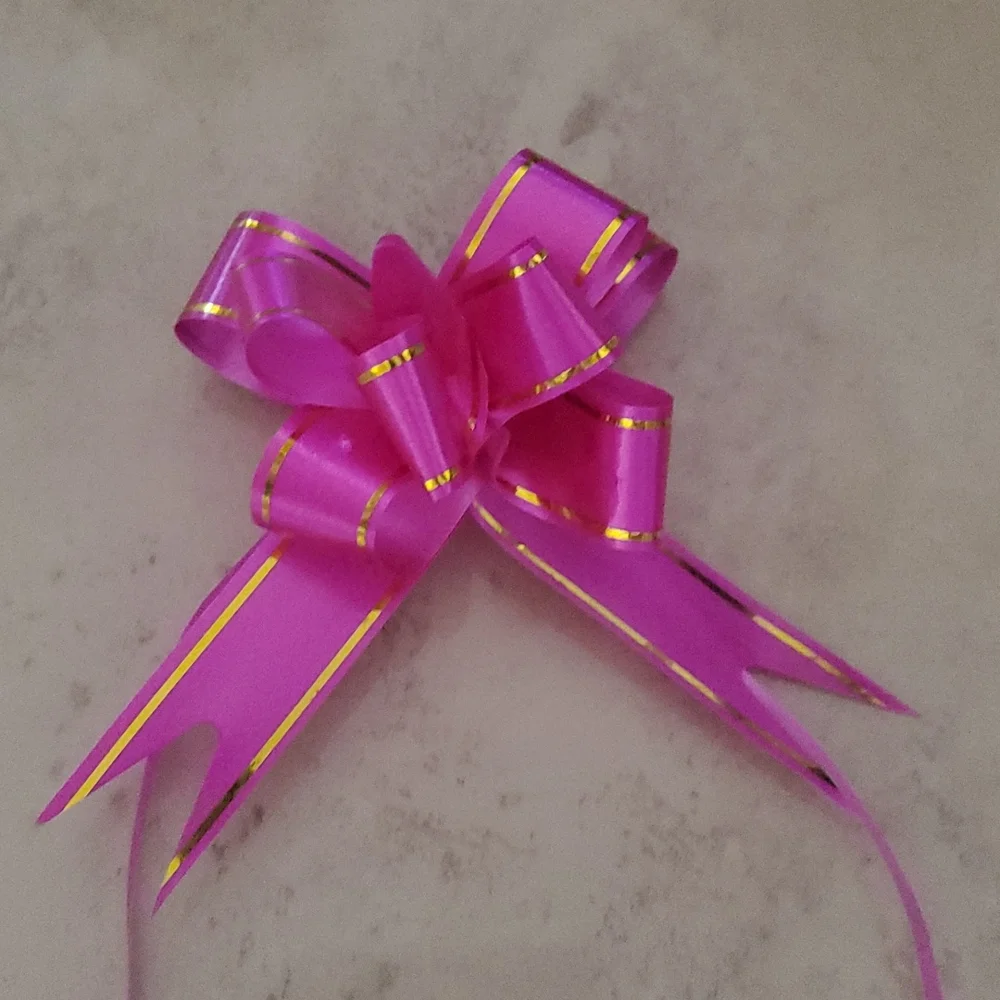 Magenta Ribbon/Bow nwot