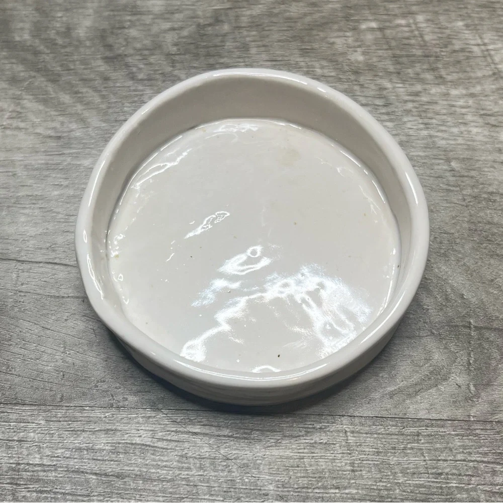 Handmade Circular Ceramic Reptile Dish