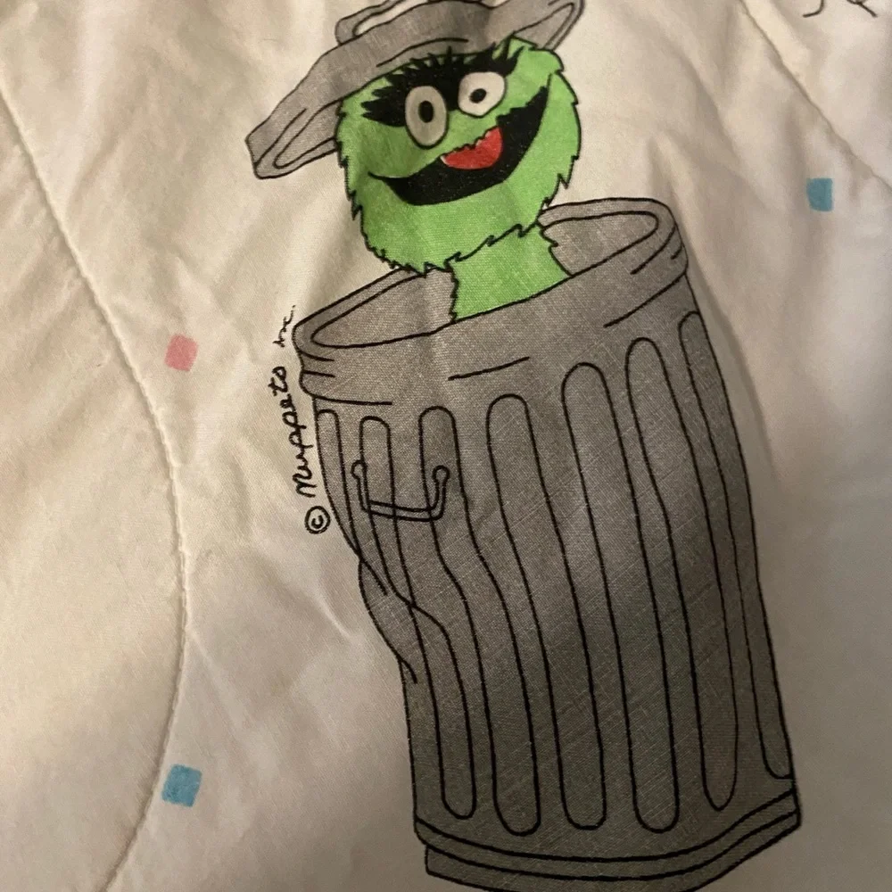 Sesame Street twin size
