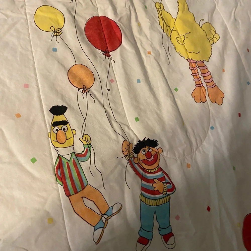 Sesame Street twin size