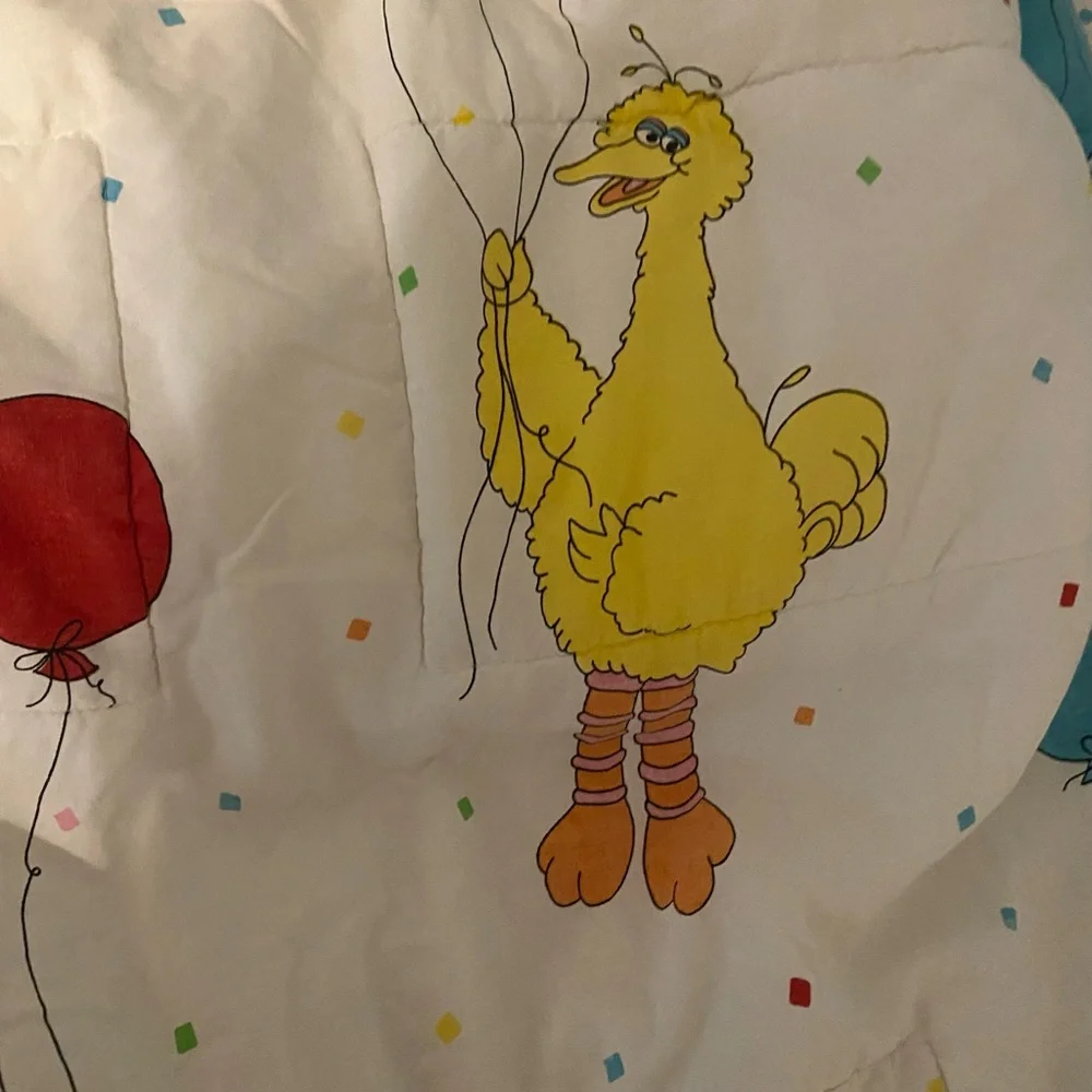 Sesame Street twin size