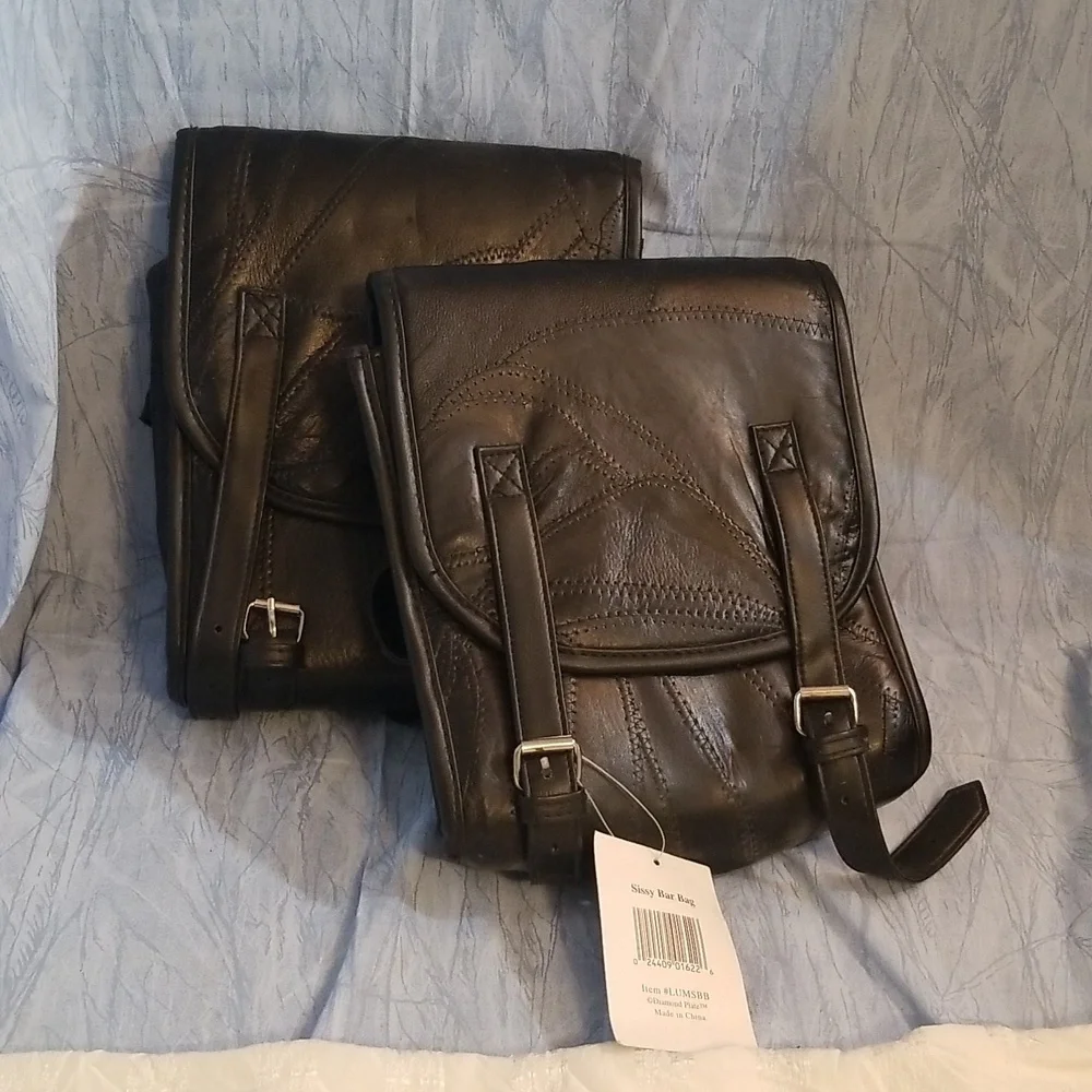 Diamond plate Buffalo leather sissy bar bag