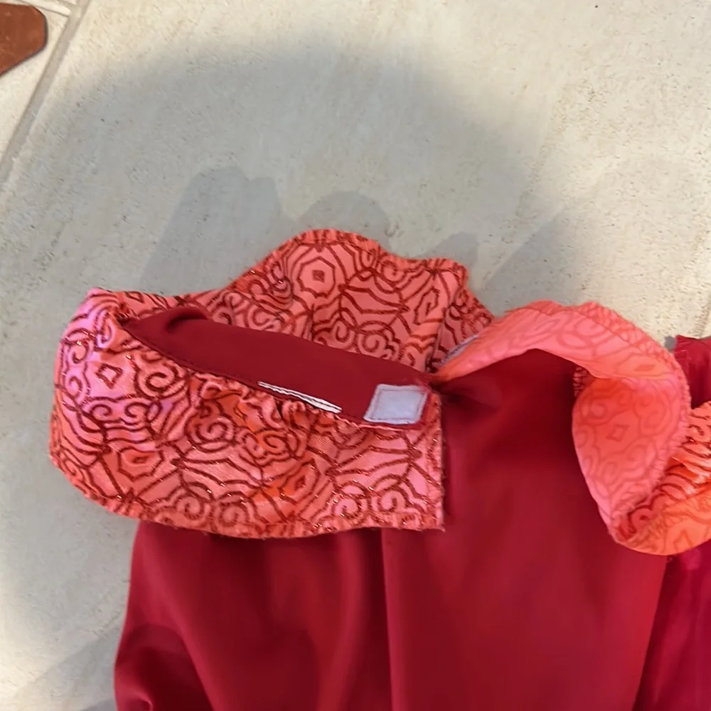 Disney colorful ilana