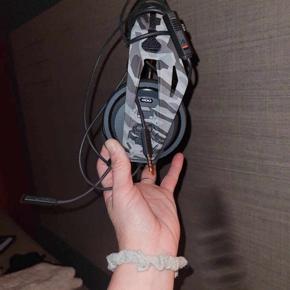 turtle beach turtle beach