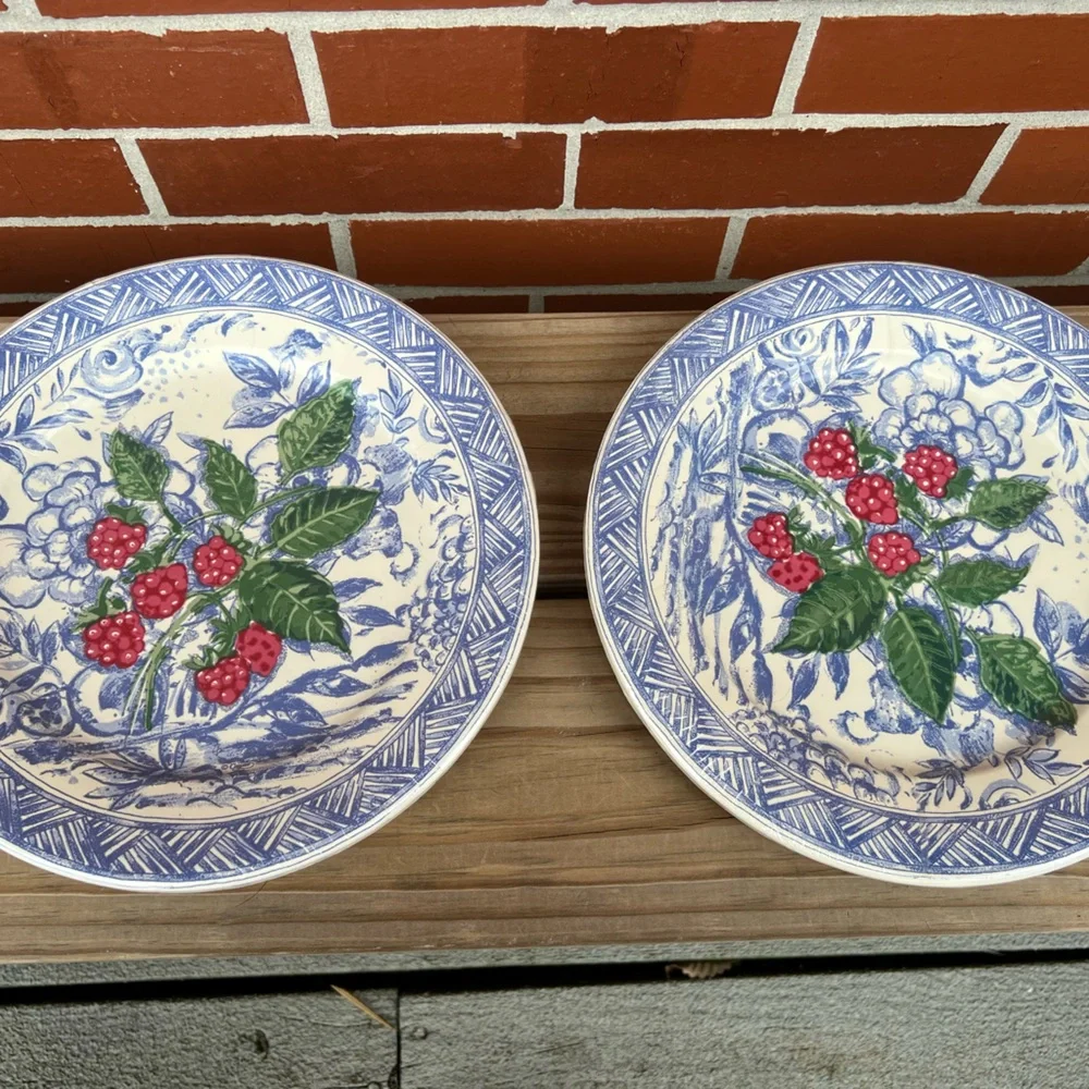 Isabelle De Borchgrave Caspari 8 DINNER Paper Plates Buffet Weight Framboise Lot