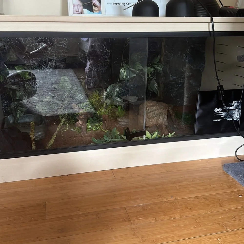 ecoflex used animal