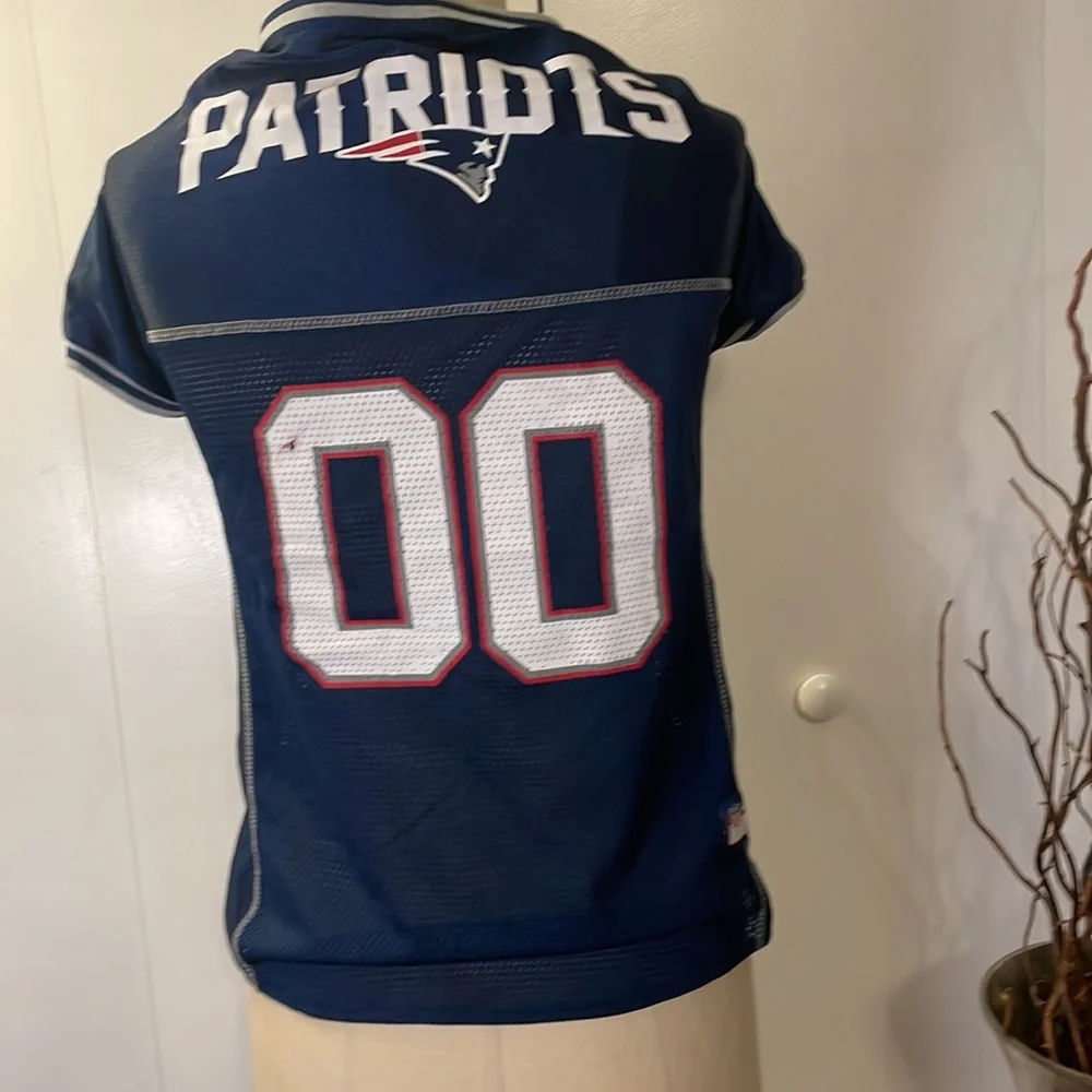 NFL new england