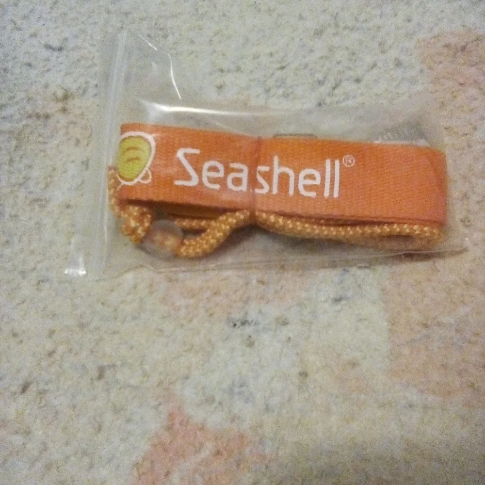 Seashell brand new