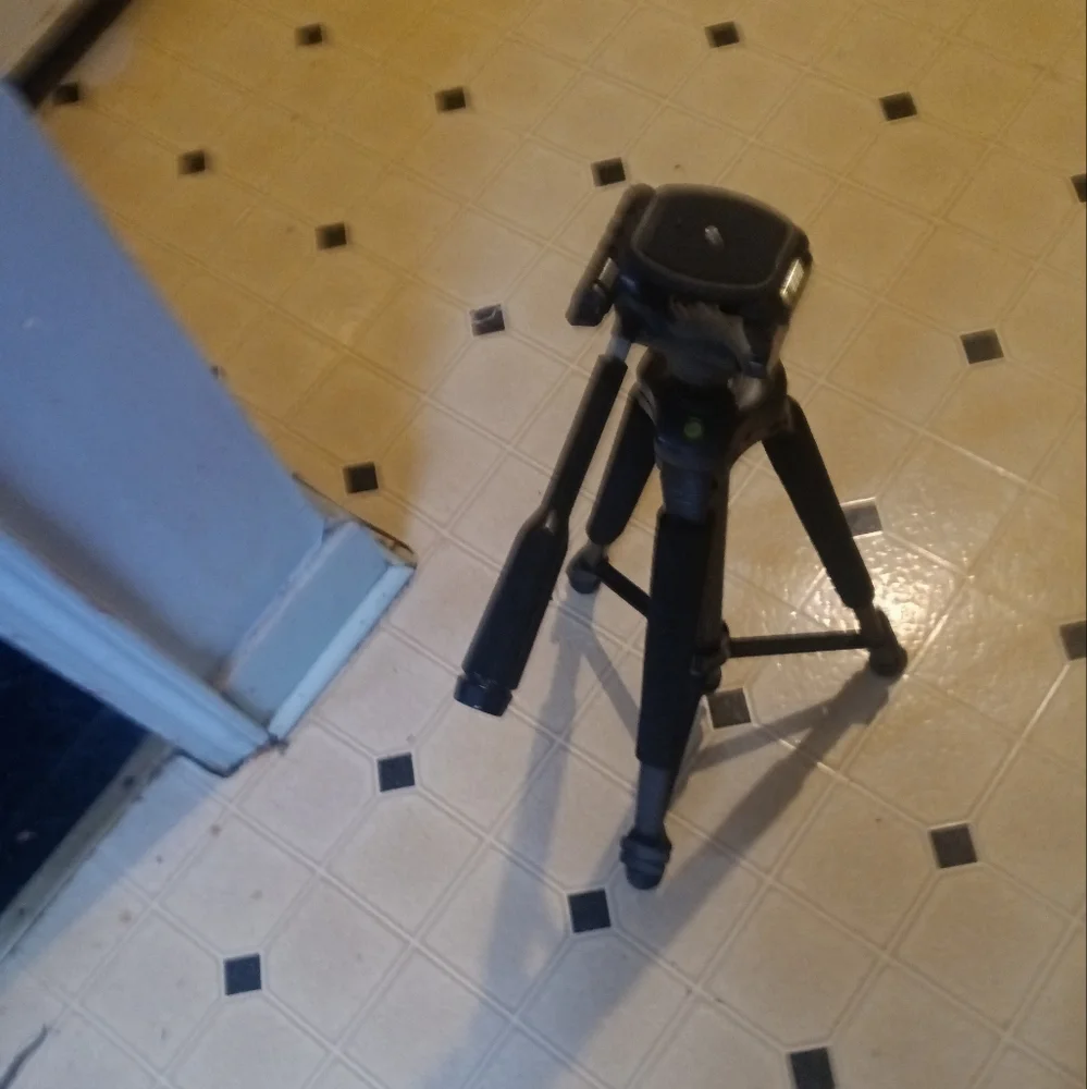 Olympus inspection passed