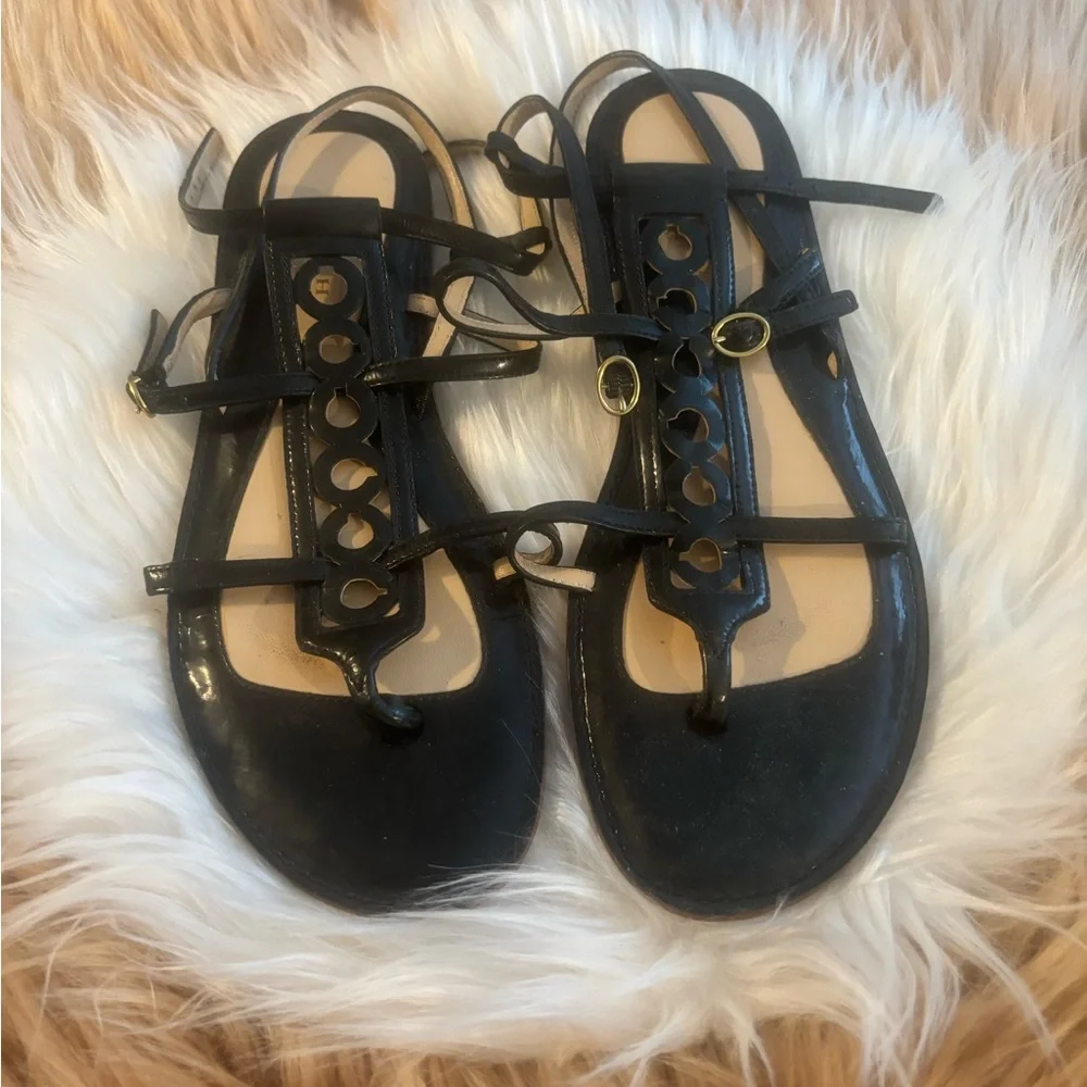 Coach black aviators