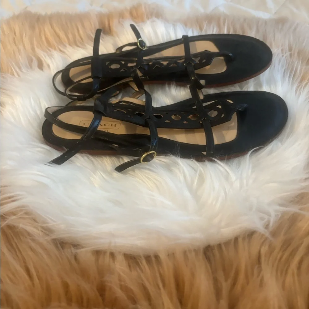 Coach black aviators
