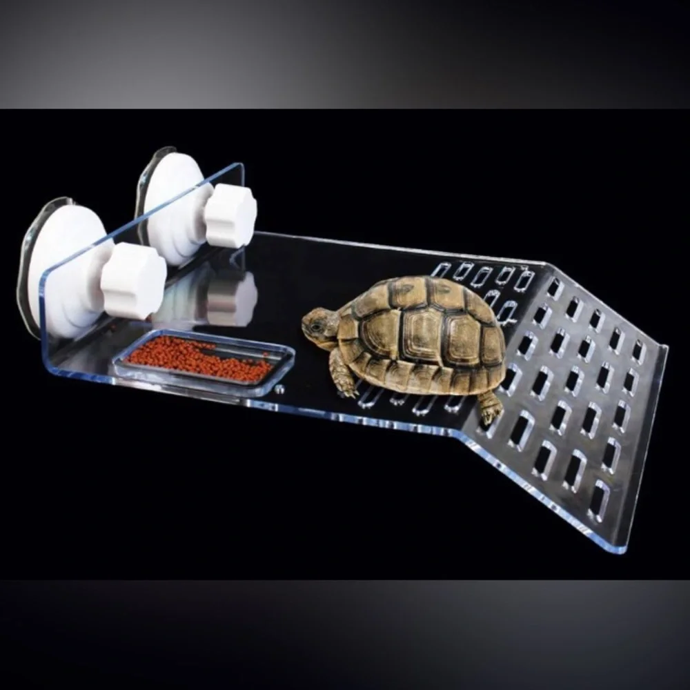 NEW Turtle Basking Platform