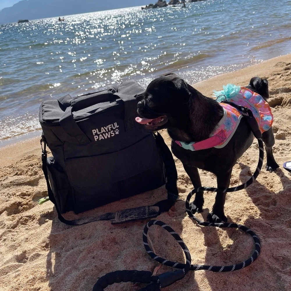 Pet Travel Bag Backpack with Travel Accessories- Travel with your fur baby today