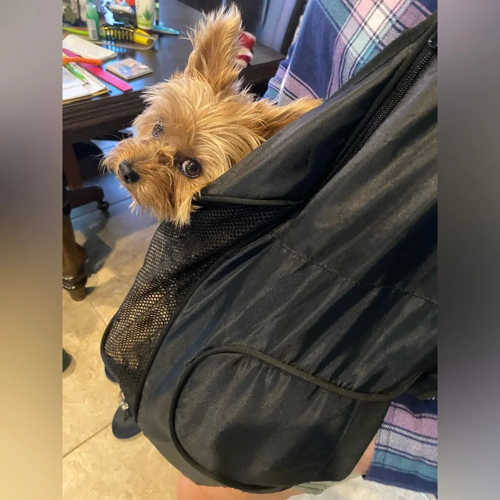 Petrageous pet sling