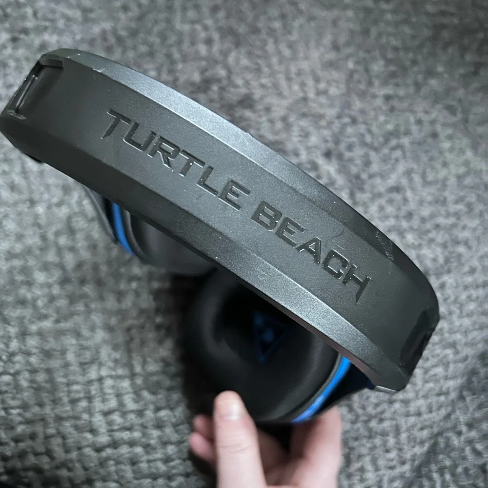 Turtle Beach works great