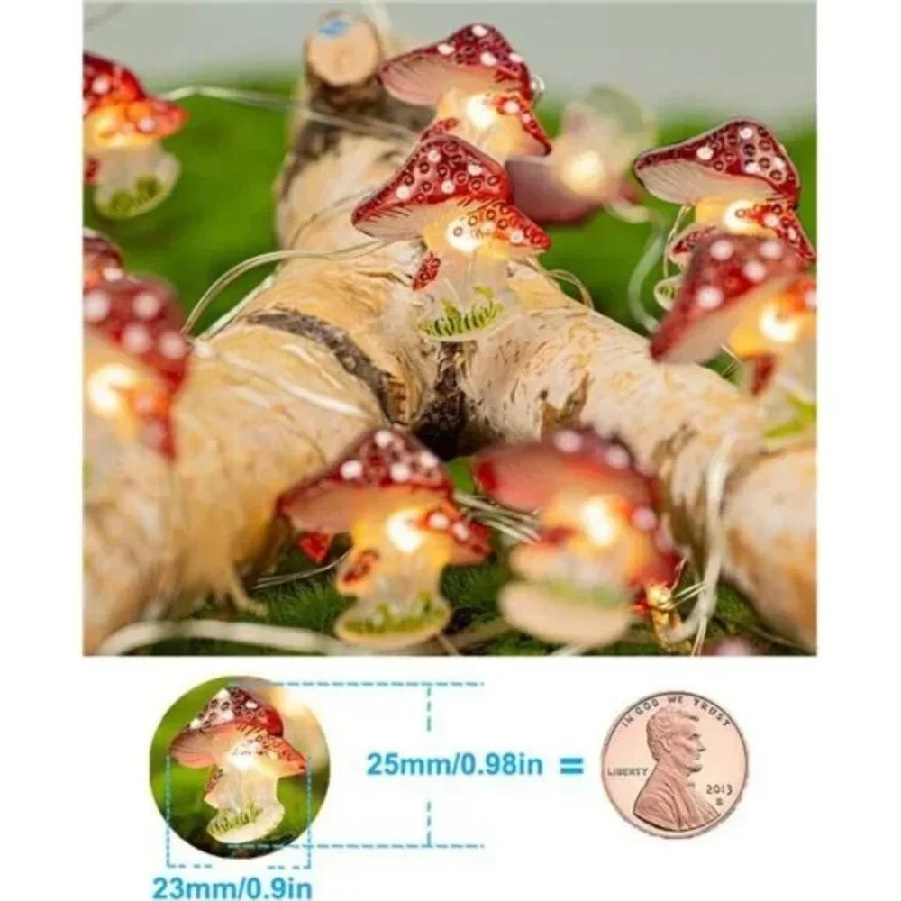 N/A 🧿🍄【mushroom decor