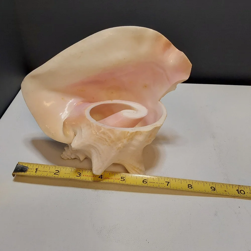 Natural large pink