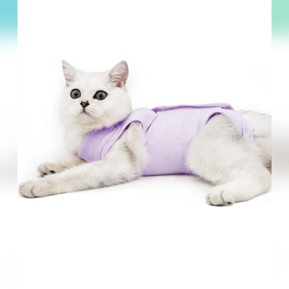 Cat post surgery recovery suit