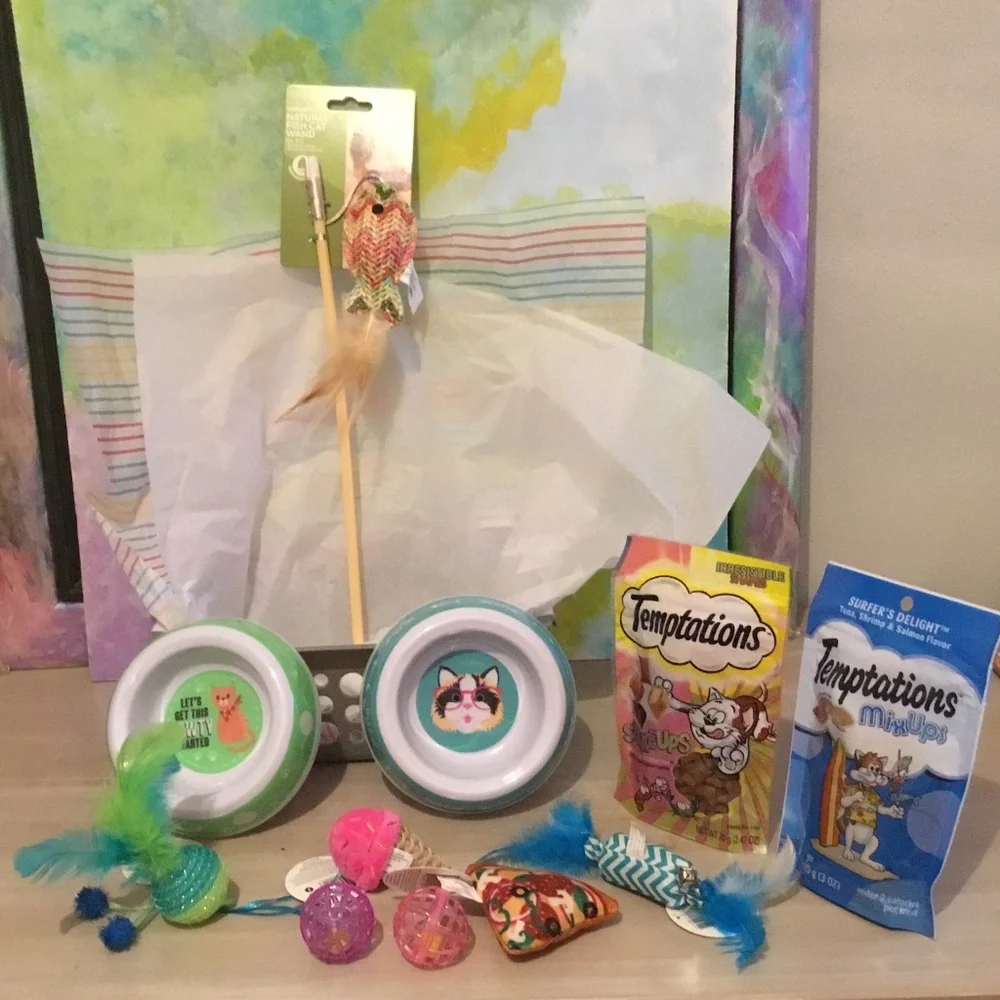 Cat Basket 12 items