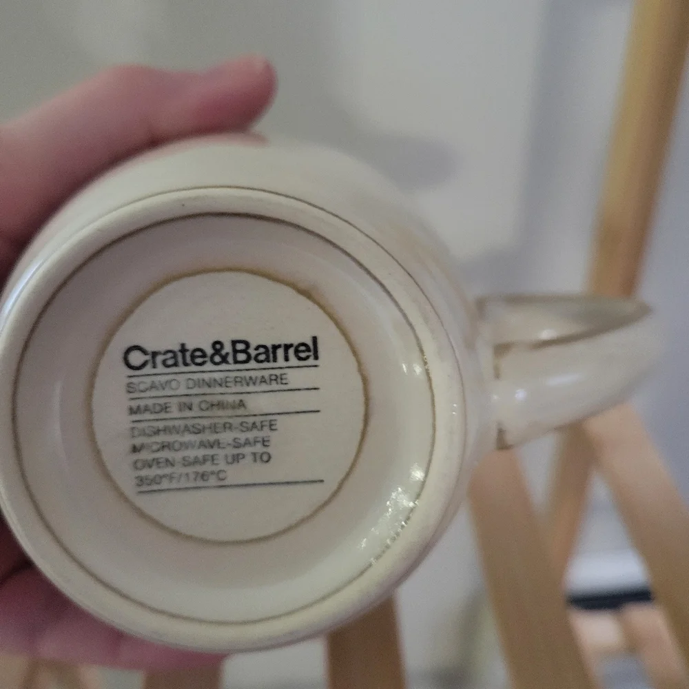Crate&Barrel scavo dinnerware