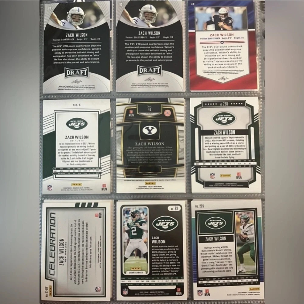 Panini 🏈 nfl