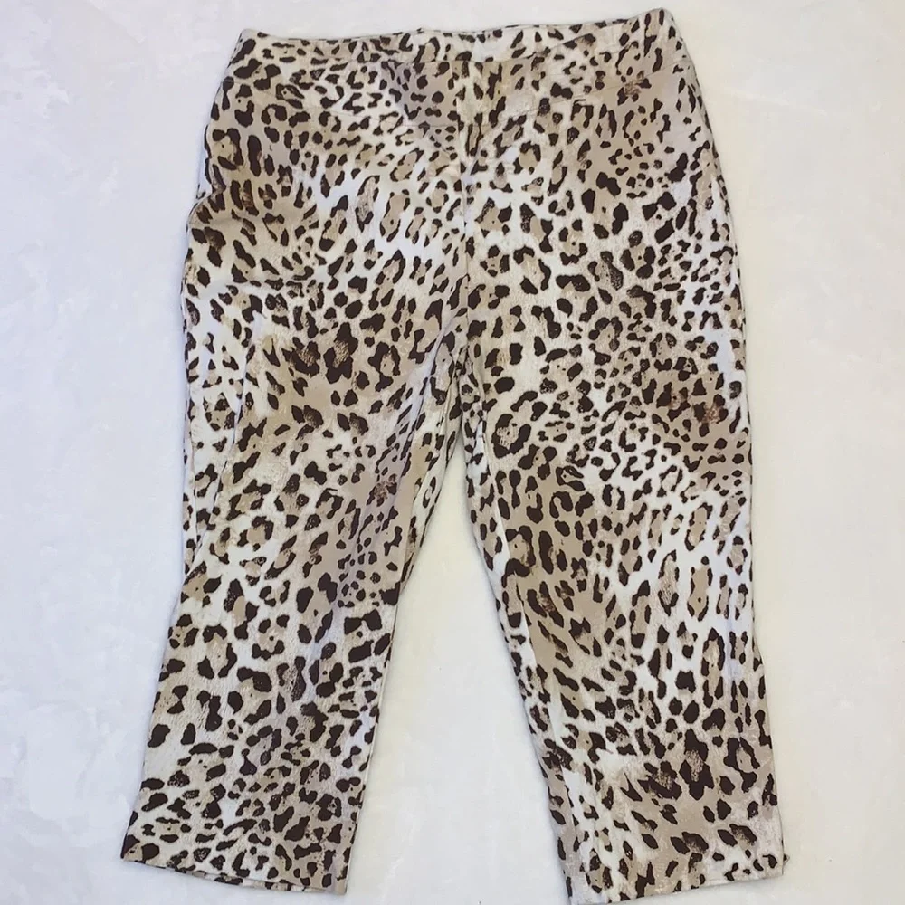 Chicos chico’s brigitte