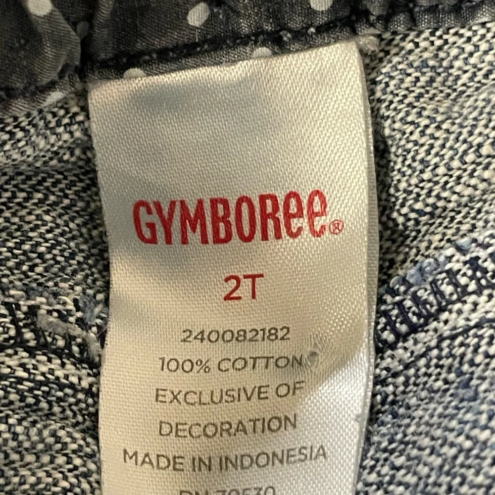 Gymboree stylish blue
