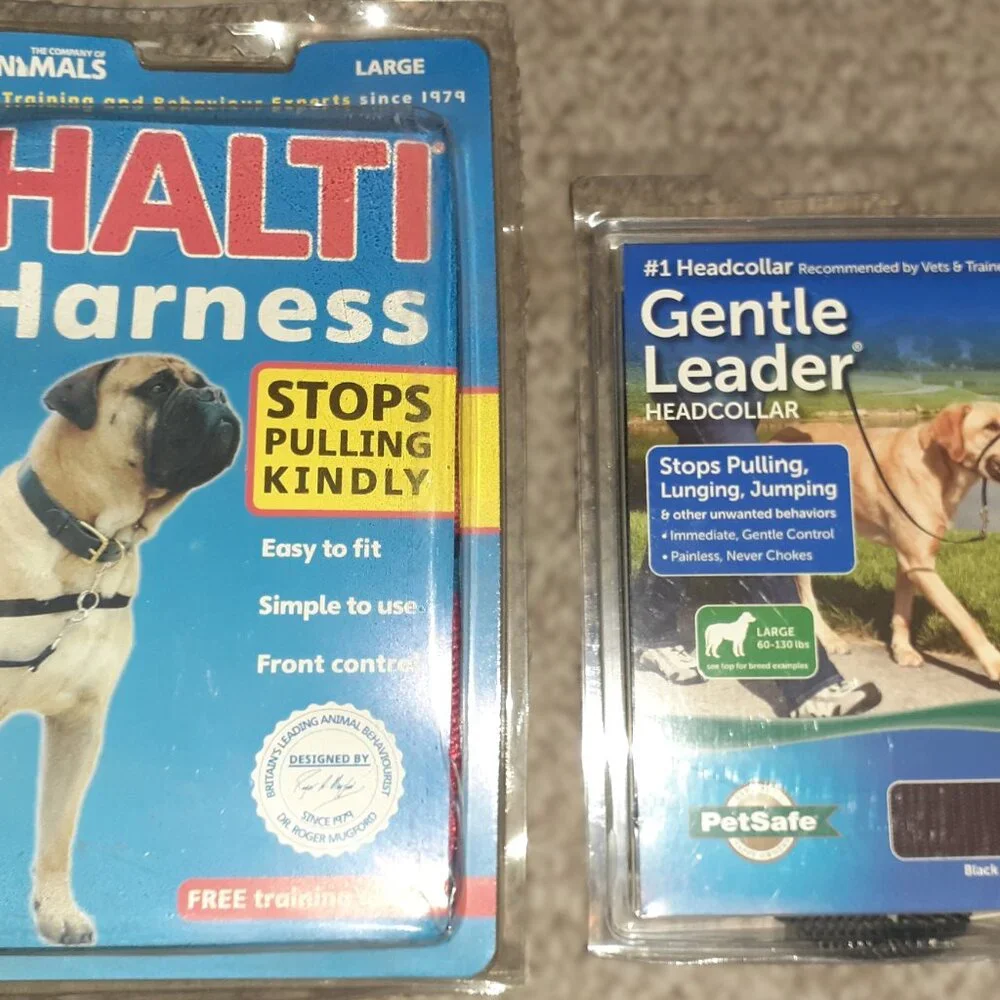 PetSafe new x2