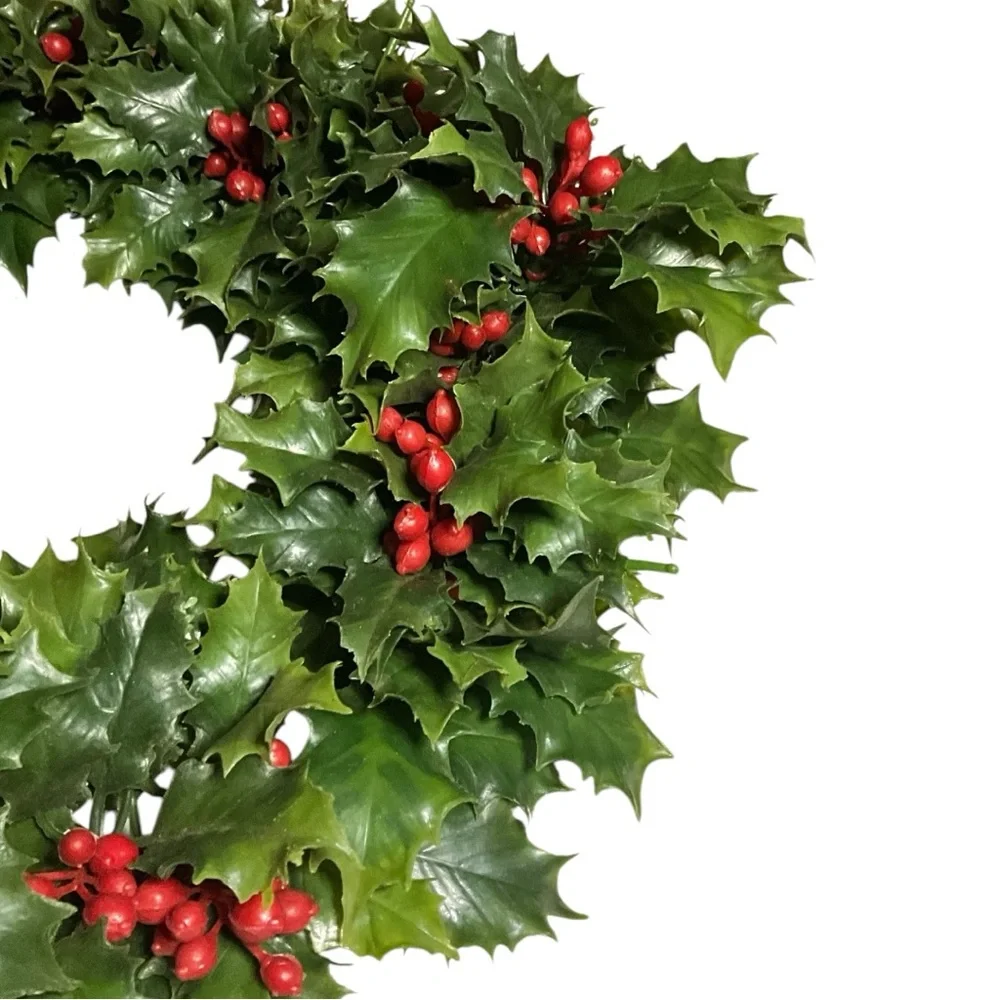 N/A celebrate season