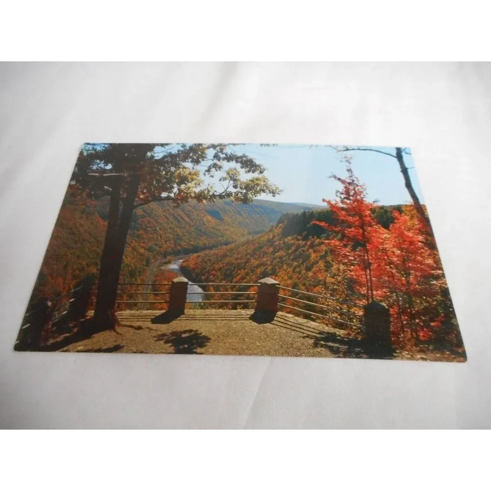 Vintage Postcard unposted Cedar Run Lookout Pennsylvania Lake fall nature 1950s