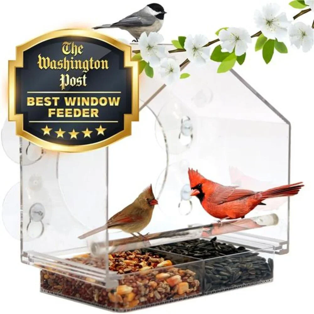 Window Bird Feeder by Nature Anywhere - Transparent Acrylic Bird Feeders