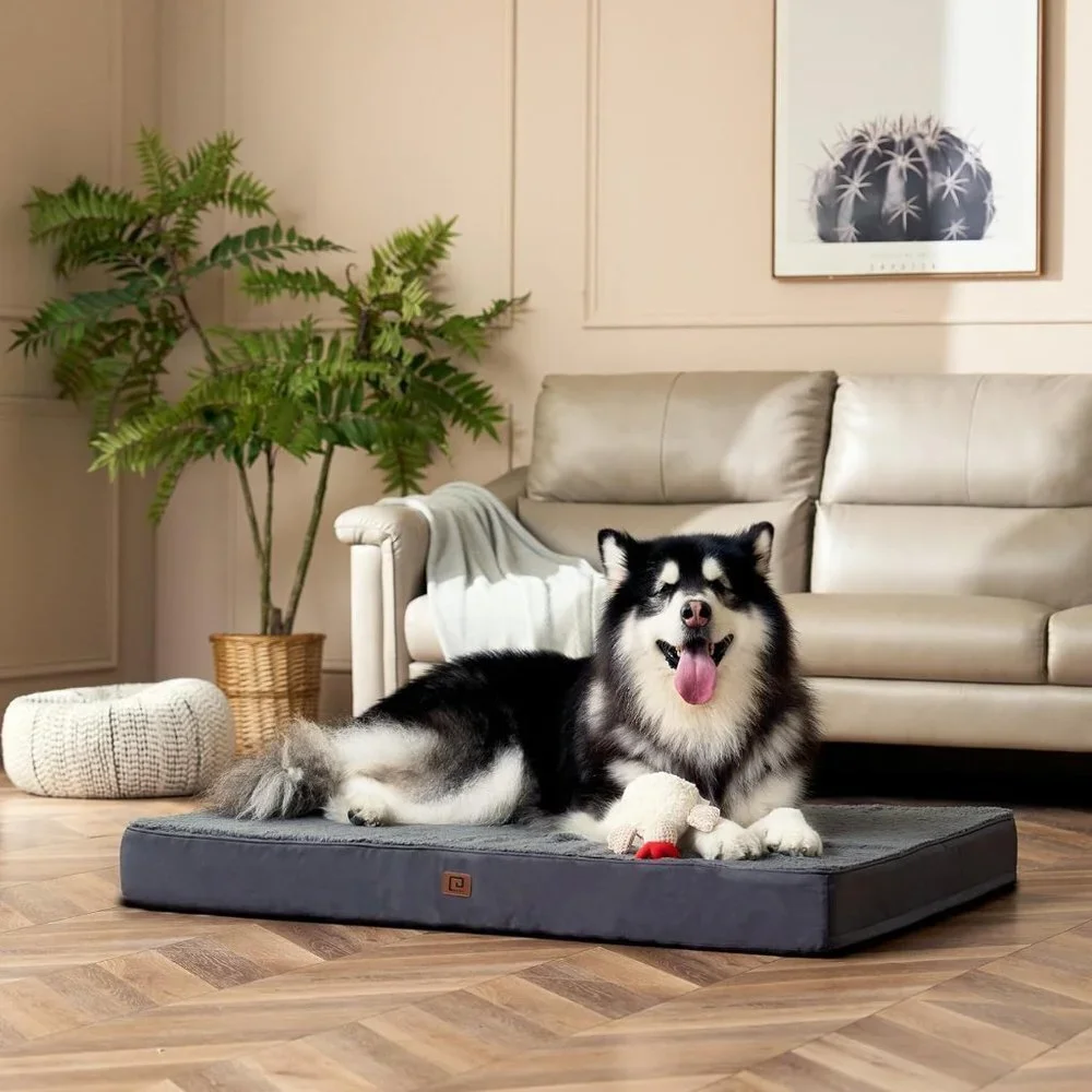 N/A kennel care