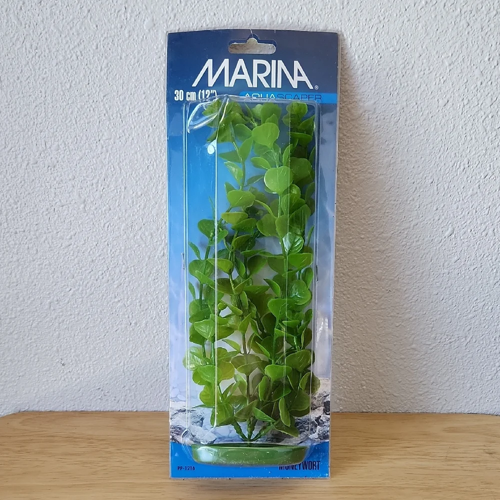 Marina Aquascaper Moneywort, 12-Inch