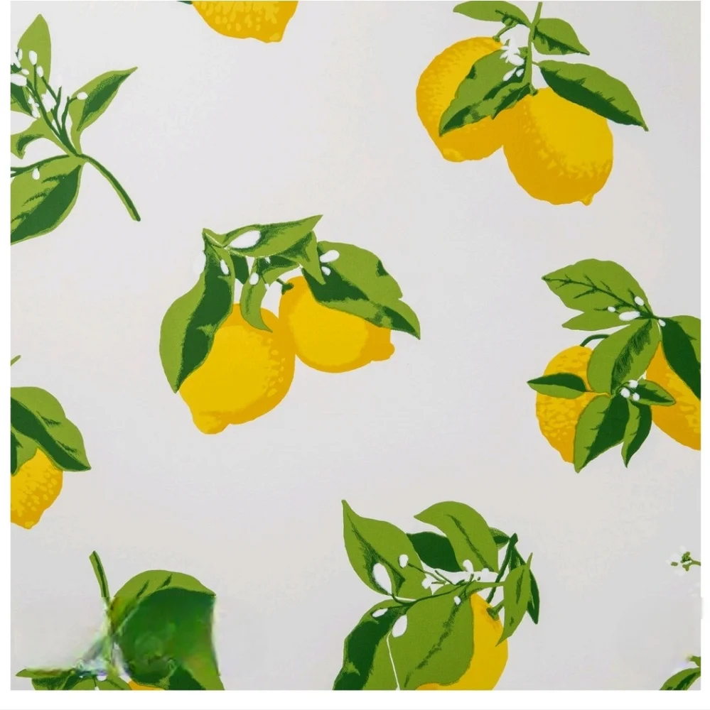 Opalhouse lemons peel