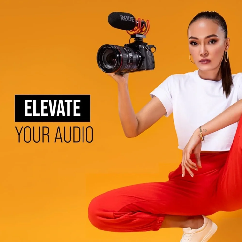 Rode videomic go